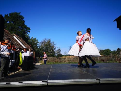 IMG 20200905 131201